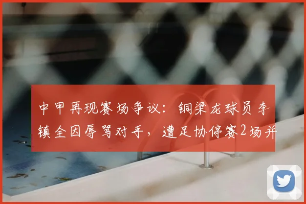 中甲再现赛场争议:铜梁龙球员李镇全因辱骂对手,遭足协停赛2场并罚款2万