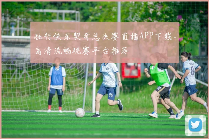 独行侠东契奇总决赛直播APP下载，高清流畅观赛平台推荐